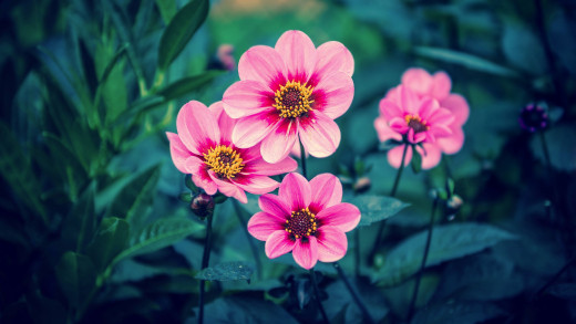 1559915 (a): :2560x1440